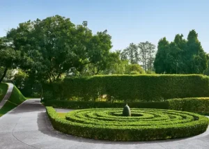 Chhatarpur_ South Delhi’s Lush Green Secret